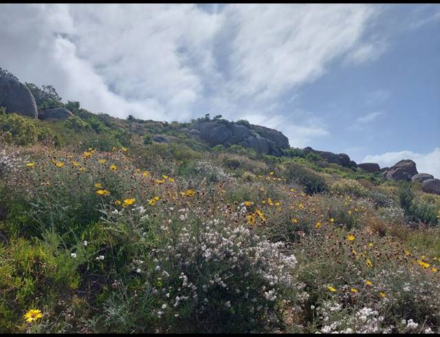 LAND FOR SALE IN BLUEBERRY HILL